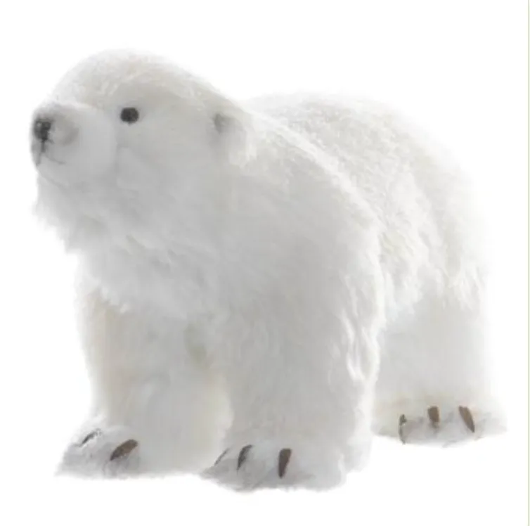 Oso Polar chicos VR / Small Polar Bears VR