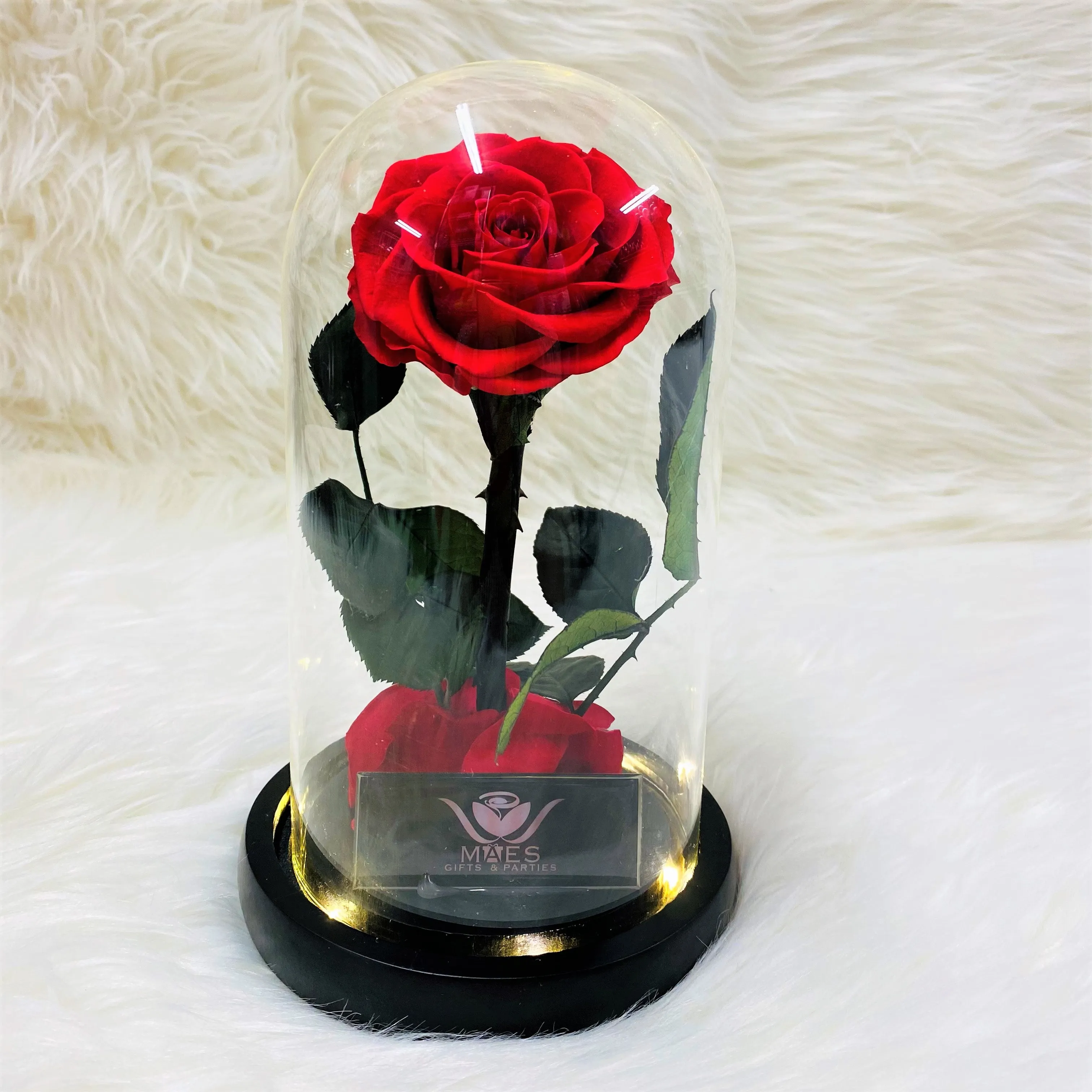 Single Preserved Rose -Tall | Classic Red