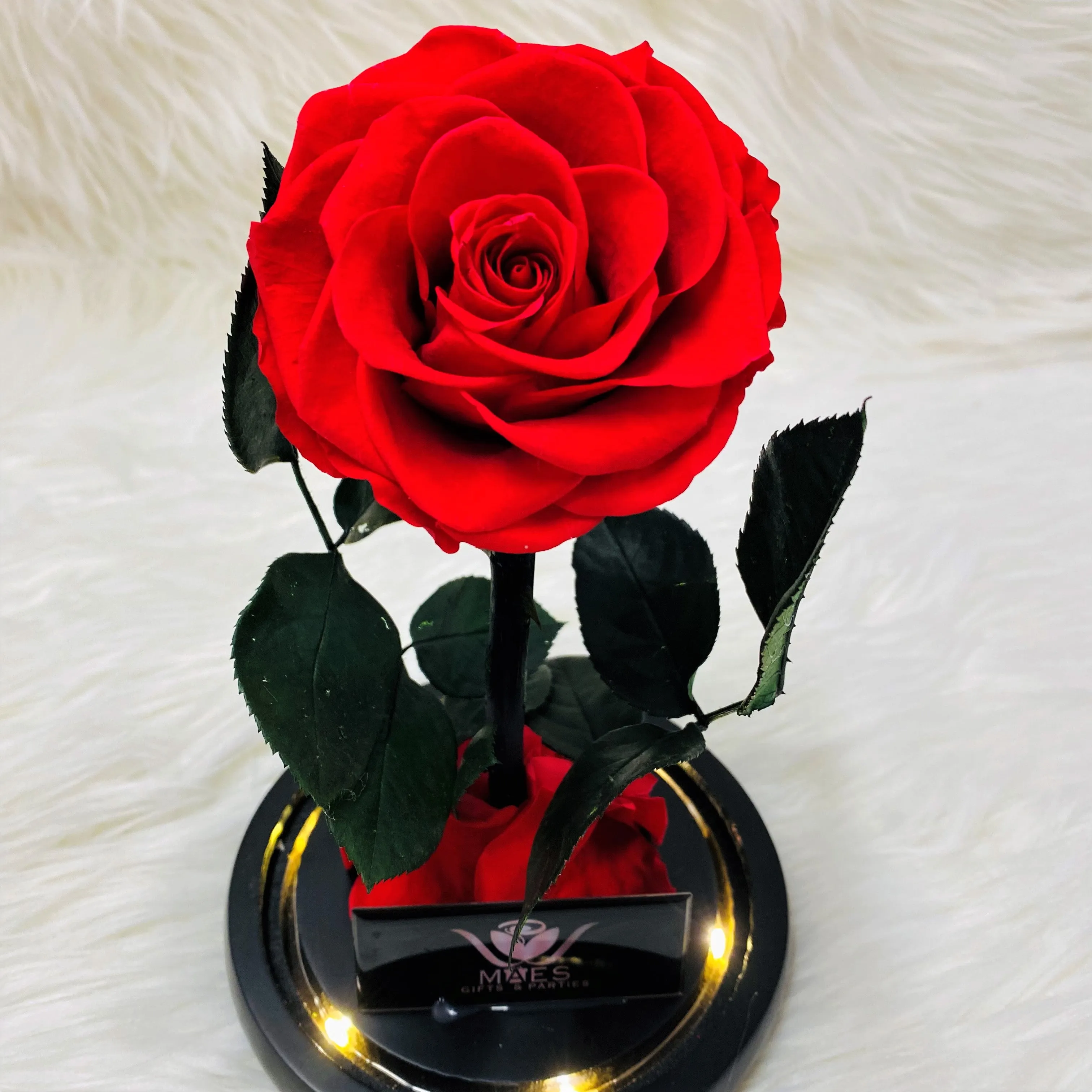 Single Preserved Rose -Tall | Classic Red